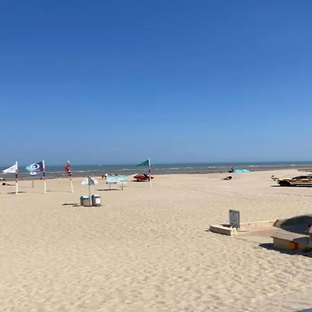 Beautiful Family On The Dunes De Panne